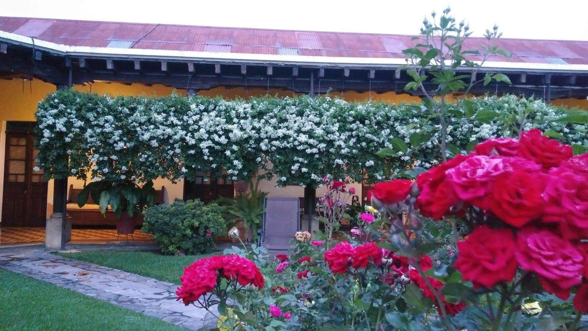 Hotel Aurora Antigua Bagian luar foto