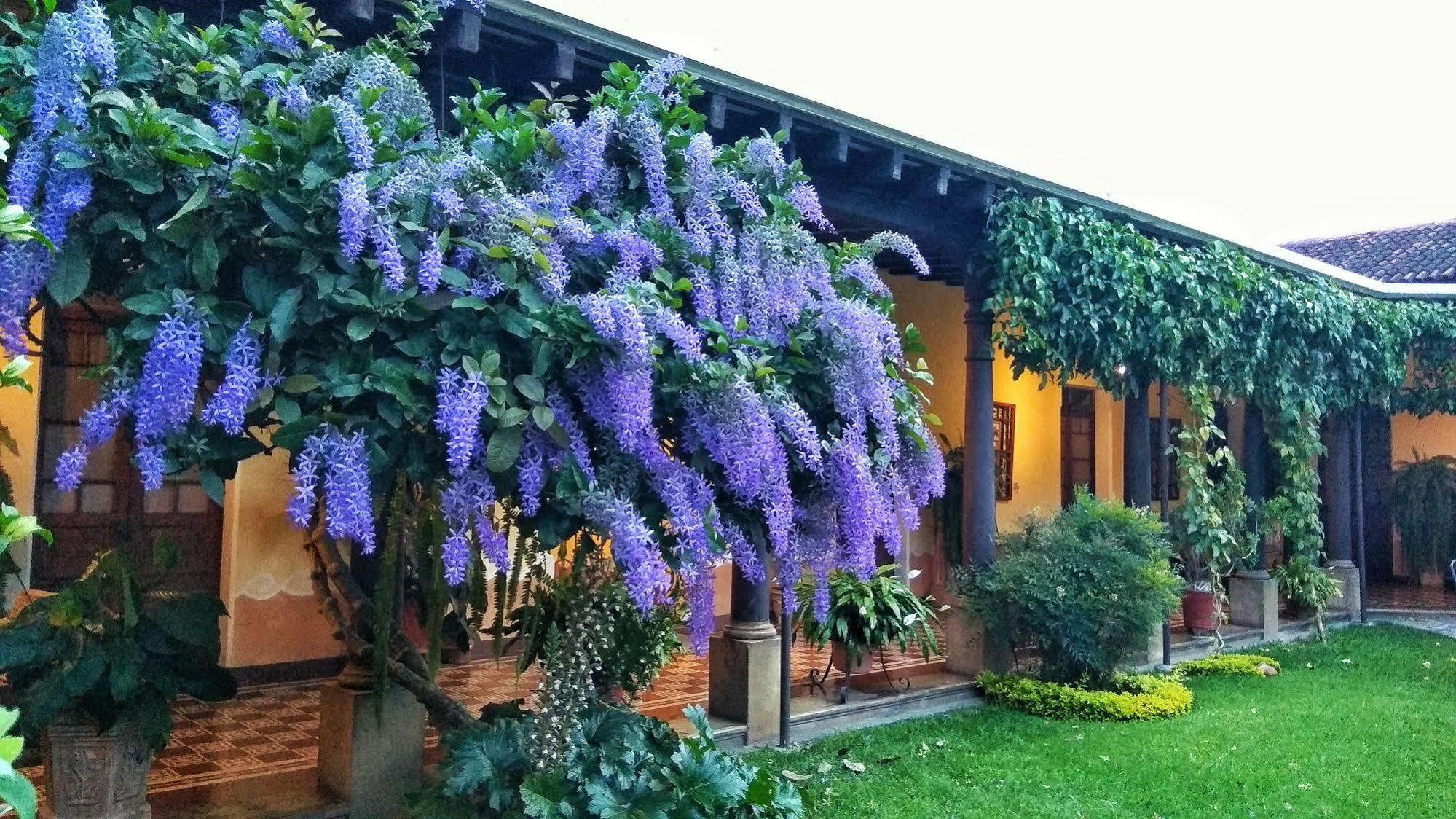 Hotel Aurora Antigua Bagian luar foto